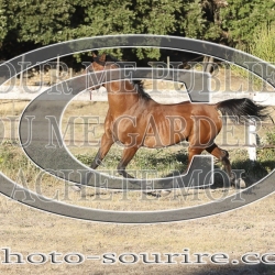 2025-©photo-sourire.com-ADAGIO-1018