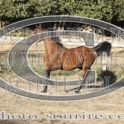 2025-©photo-sourire.com-ADAGIO-1019