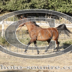 2025-©photo-sourire.com-ADAGIO-1020