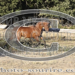 2025-©photo-sourire.com-ADAGIO-1021