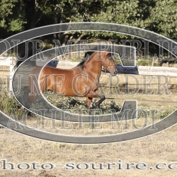 2025-©photo-sourire.com-ADAGIO-1022