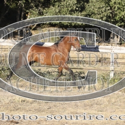 2025-©photo-sourire.com-ADAGIO-1023