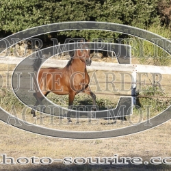 2025-©photo-sourire.com-ADAGIO-1024