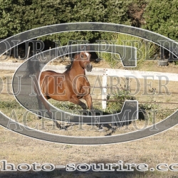 2025-©photo-sourire.com-ADAGIO-1025