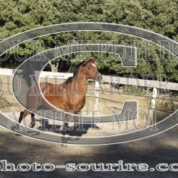 2025-©photo-sourire.com-ADAGIO-1027