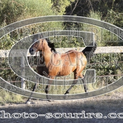 2025-©photo-sourire.com-ADAGIO-1028