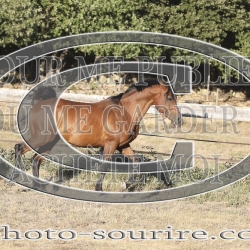 2025-©photo-sourire.com-ADAGIO-1029