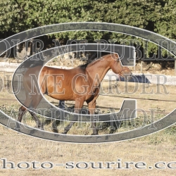 2025-©photo-sourire.com-ADAGIO-1030