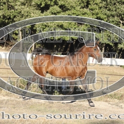 2025-©photo-sourire.com-ADAGIO-1031