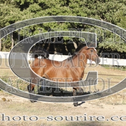 2025-©photo-sourire.com-ADAGIO-1032