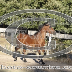 2025-©photo-sourire.com-ADAGIO-1033