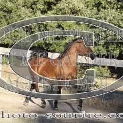 2025-©photo-sourire.com-ADAGIO-1034