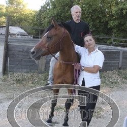 2025-©photo-sourire.com-ADAGIO-1040