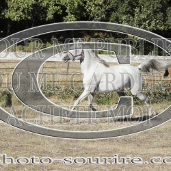 2025-©photo-sourire.com-BELLE-1000