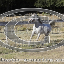 2025-©photo-sourire.com-BELLE-1004