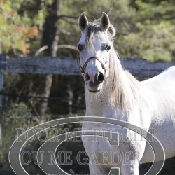 2025-©photo-sourire.com-BELLE-1007