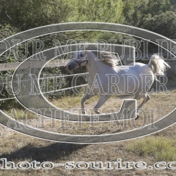 2025-©photo-sourire.com-BELLE-1010