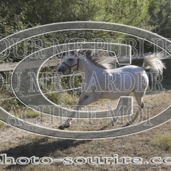 2025-©photo-sourire.com-BELLE-1011