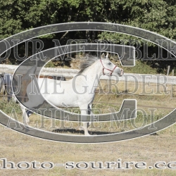 2025-©photo-sourire.com-BELLE-1013