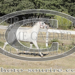 2025-©photo-sourire.com-BELLE-1014