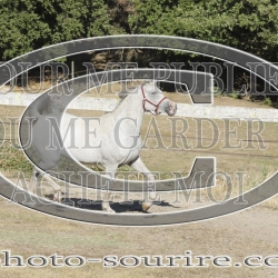 2025-©photo-sourire.com-BELLE-1016