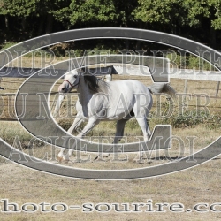 2025-©photo-sourire.com-BELLE-1020