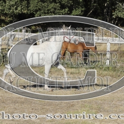 2025-©photo-sourire.com-BELLE-1022