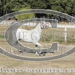 2025-©photo-sourire.com-BELLE-1024