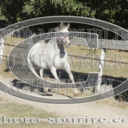 2025-©photo-sourire.com-BELLE-1026