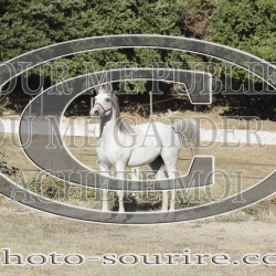 2025-©photo-sourire.com-BELLE-1030