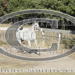 2025-©photo-sourire.com-BELLE-1033