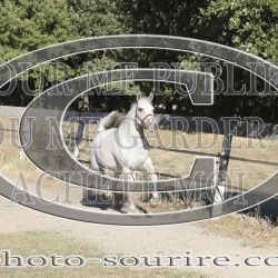 2025-©photo-sourire.com-BELLE-1034