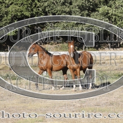 2025-©photo-sourire.com-CALIS-SHARON-1000