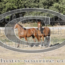 2025-©photo-sourire.com-CALIS-SHARON-1001