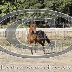 2025-©photo-sourire.com-CALIS-SHARON-1002