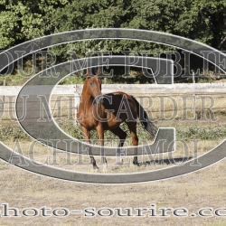 2025-©photo-sourire.com-CALIS-SHARON-1003