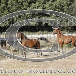 2025-©photo-sourire.com-CALIS-SHARON-1004