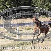 2025-©photo-sourire.com-CALIS-SHARON-1005