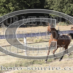 2025-©photo-sourire.com-CALIS-SHARON-1005