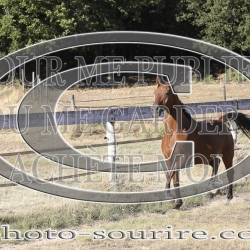 2025-©photo-sourire.com-CALIS-SHARON-1006