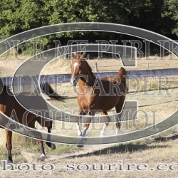 2025-©photo-sourire.com-CALIS-SHARON-1007