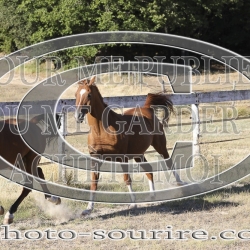 2025-©photo-sourire.com-CALIS-SHARON-1008