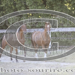 2025-©photo-sourire.com-CALIS-SHARON-1009