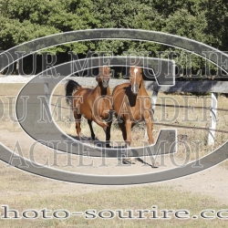 2025-©photo-sourire.com-CALIS-SHARON-1011