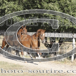 2025-©photo-sourire.com-CALIS-SHARON-1012