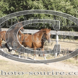 2025-©photo-sourire.com-CALIS-SHARON-1013