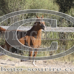 2025-©photo-sourire.com-CALIS-SHARON-1014