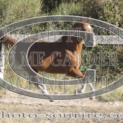 2025-©photo-sourire.com-CALIS-SHARON-1015