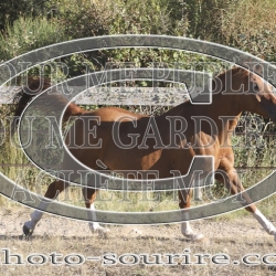 2025-©photo-sourire.com-CALIS-SHARON-1016