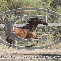 2025-©photo-sourire.com-CALIS-SHARON-1017